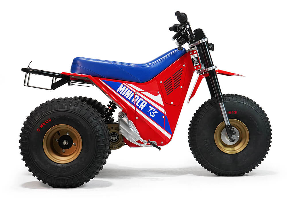 Mini RCR T3 Electric 3 Wheeler Bike (Special Edition) 250R
