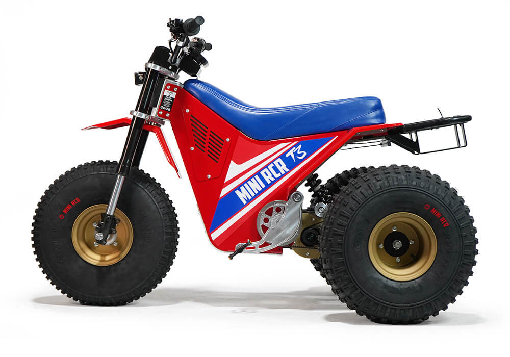 Mini RCR T3 Electric 3 Wheeler Bike (Special Edition) 250R