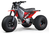 Mini RCR T3 Electric 3 Wheeler Bike Red with Red Fenders