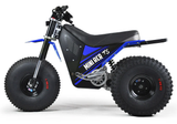 Mini RCR T3 Electric 3 Wheeler Bike Blue with Blue Fenders