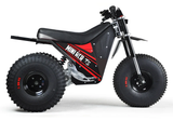 Mini RCR T3 Electric 3 Wheeler Bike Red with Black Fenders