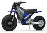 Mini RCR RCR F2 Electric Bike Blue with Blue Fenders