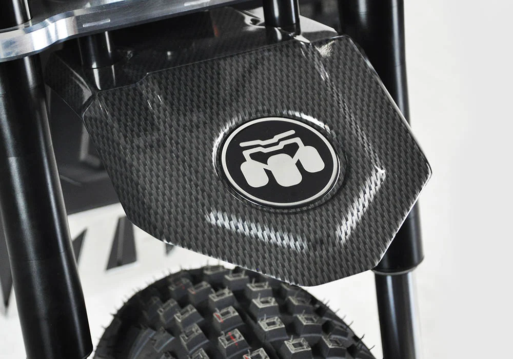 Mini RCR T3 Electric 3 Wheeler Bike Black with Black Carbon Fenders