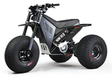 Mini RCR T3 Electric 3 Wheeler Bike Black with Black Carbon Fenders