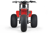 Mini RCR T3 Electric 3 Wheeler Bike Red with Red Fenders