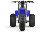 Mini RCR T3 Electric 3 Wheeler Bike Blue with Blue Fenders