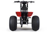 Mini RCR T3 Electric 3 Wheeler Bike Red with Red Fenders