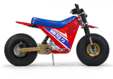 Mini RCR RCR F2 Electric Bike 250R (Special Edition)