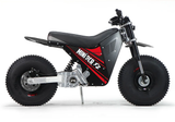 Mini RCR RCR F2 Electric Bike Red with Black Carbon Fenders