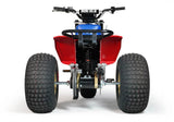 Mini RCR T3 Electric 3 Wheeler Bike (Special Edition) 250R