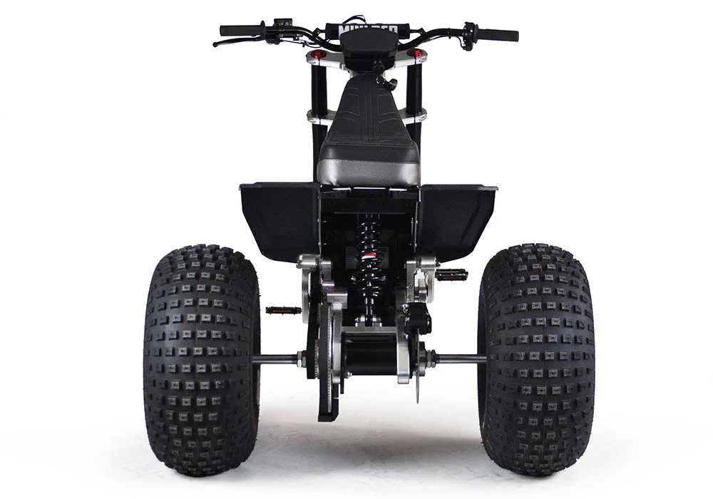 Mini RCR T3 Electric 3 Wheeler Bike Blue with Black Carbon Fenders