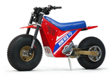 Mini RCR RCR F2 Electric Bike 250R (Special Edition)