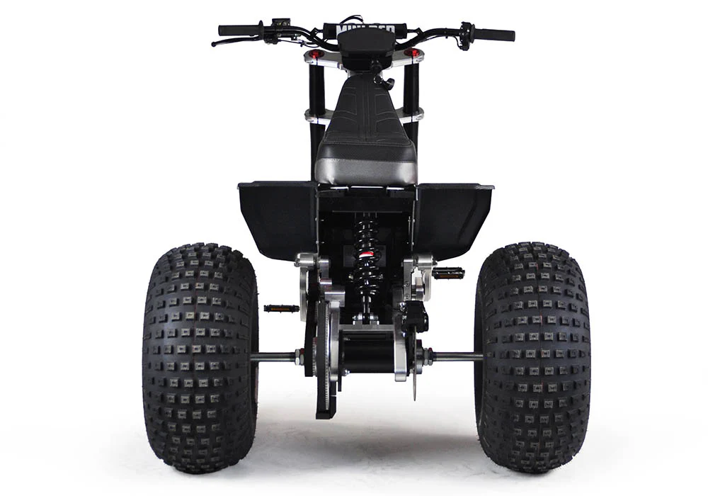 Mini RCR T3 Electric 3 Wheeler Bike Black with Black Carbon Fenders