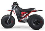 Mini RCR T3 Electric 3 Wheeler Bike Red with Red Fenders