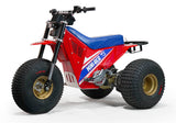 Mini RCR T3 Electric 3 Wheeler Bike (Special Edition) 250R