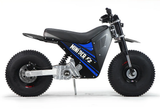 Mini RCR RCR F2 Electric Bike Blue with Black Carbon Fenders