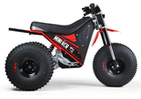 Mini RCR T3 Electric 3 Wheeler Bike Red with Red Fenders