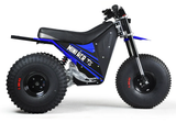 Mini RCR T3 Electric 3 Wheeler Bike Blue with Blue Fenders
